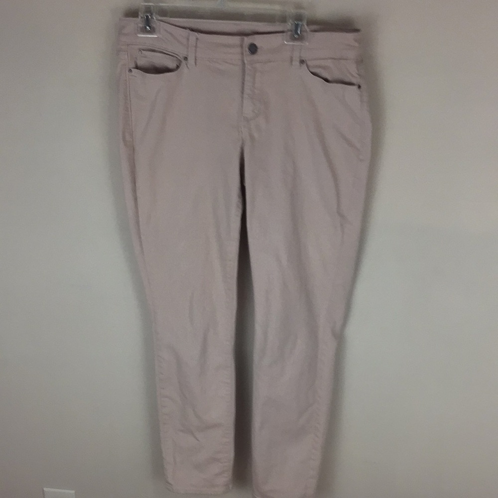 Ann Taylor Modern Fit Tan Jeans  or Khakis Size 10